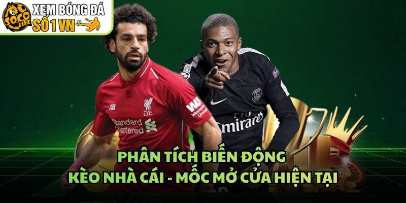 Phân Tích Biến Động Kèo Nhà Cái – Mốc Mở Cửa Hiện Tại